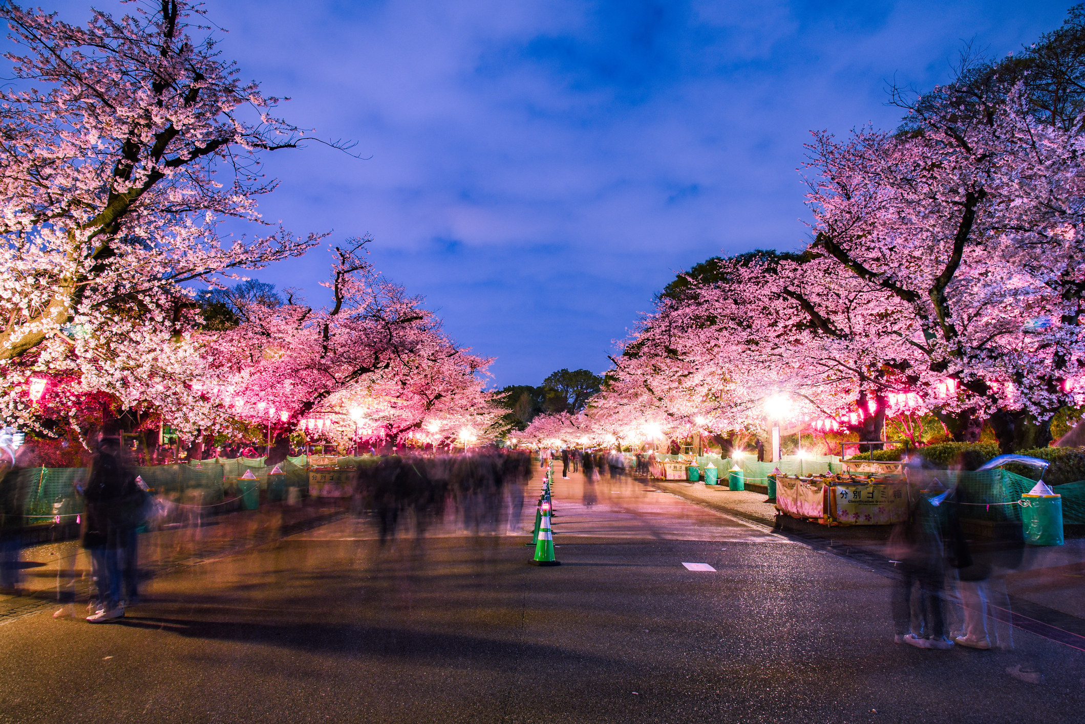 Ueno Park: Oase Hijau di Pusat Tokyo